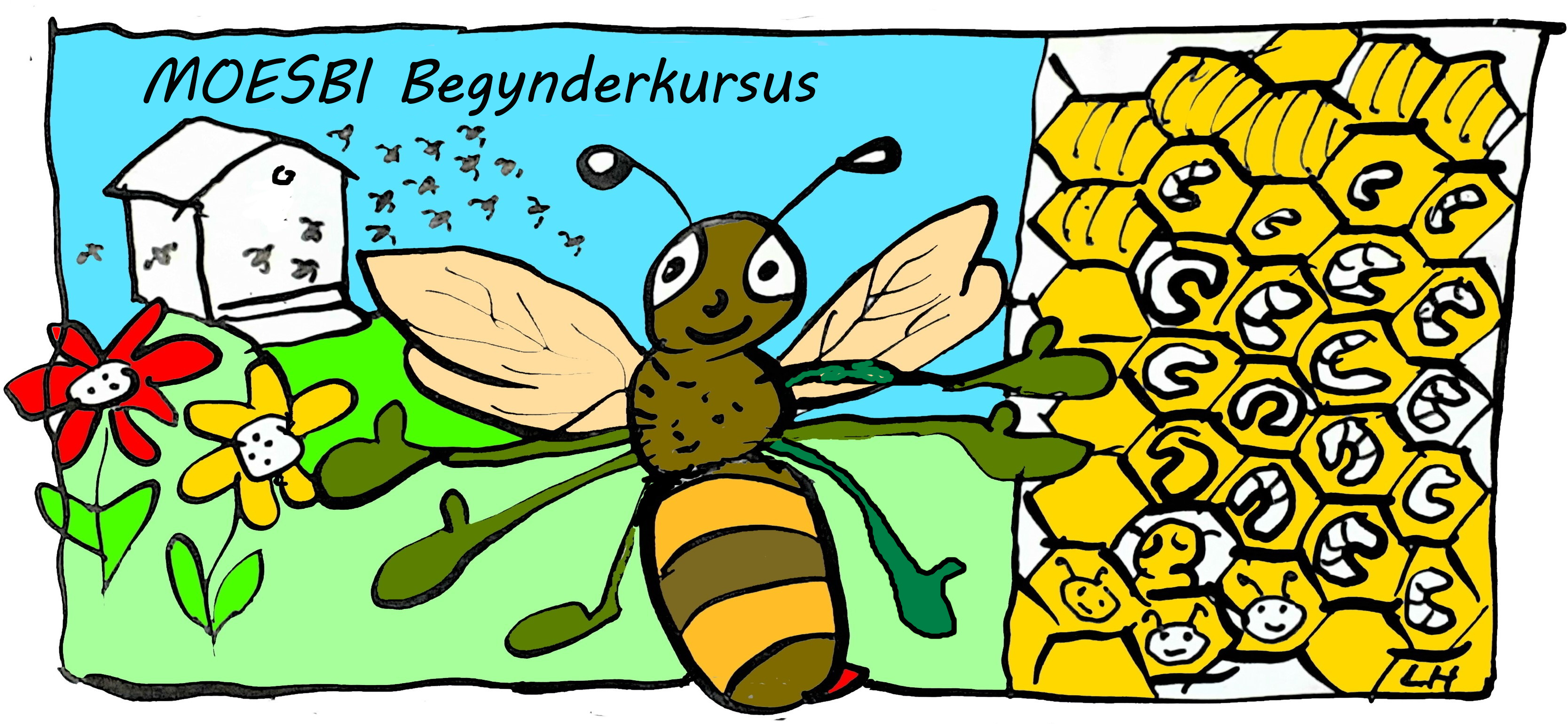 Begynderkursus   tegning 2026